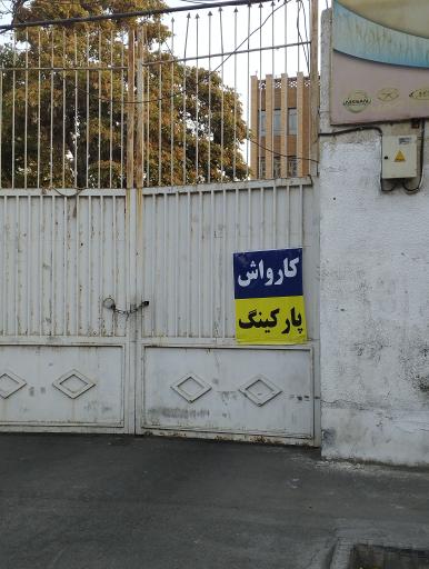 کارواش ارگ vip