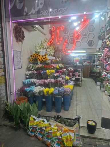 عکس گلکده ناز