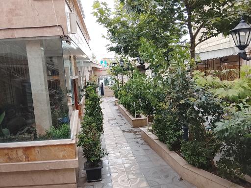 عکس علی بستنی