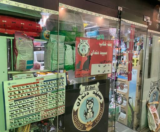 عکس پت شاپ سپید دندان