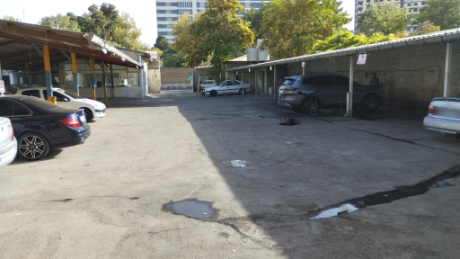 عکس کارواش ارگ vip