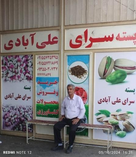 عکس پسته علی آبادی