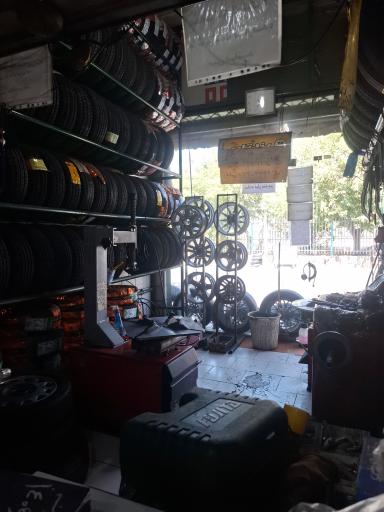 عکس لاستیک فروشی آیت رضایی 