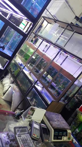 عکس آکواریوم رازبقا