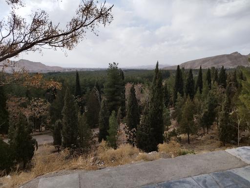 عکس بام کرمان