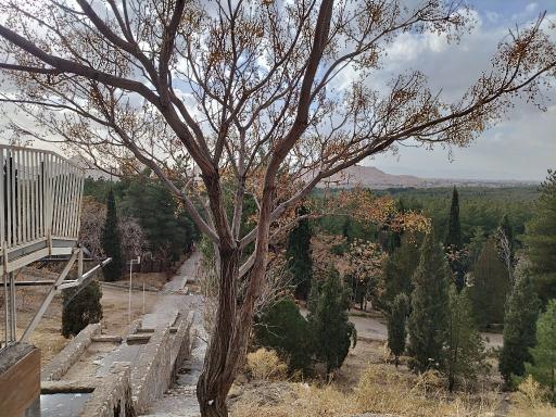 عکس بام کرمان