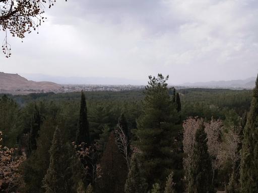 عکس بام کرمان