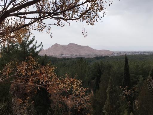 عکس بام کرمان