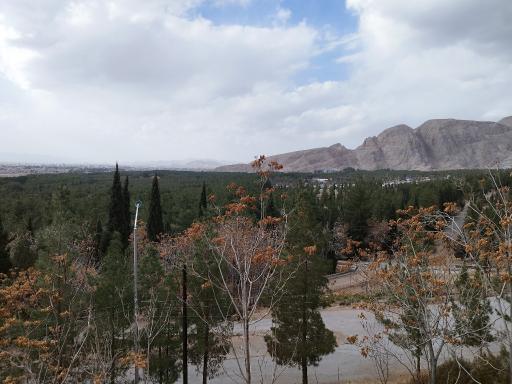 عکس بام کرمان