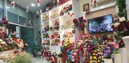 عکس گلسرای ارکیده