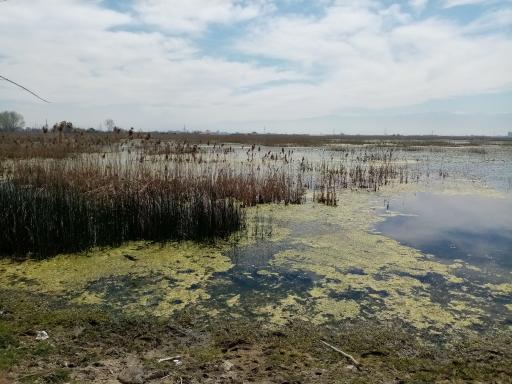 عکس آب بندان مرزون آباد