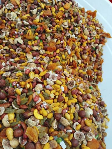 عکس رضا آجیل چی و پسران