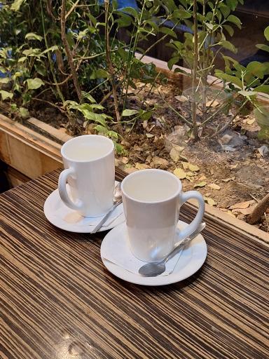 عکس کافه هنر