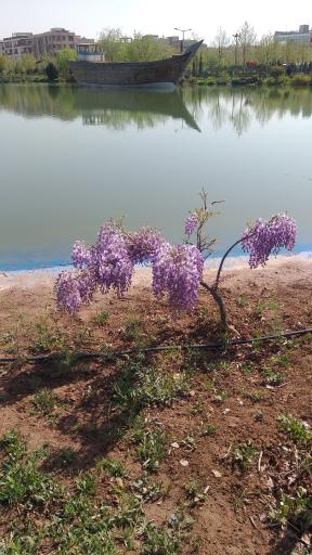 عکس بوستان کیانمهر