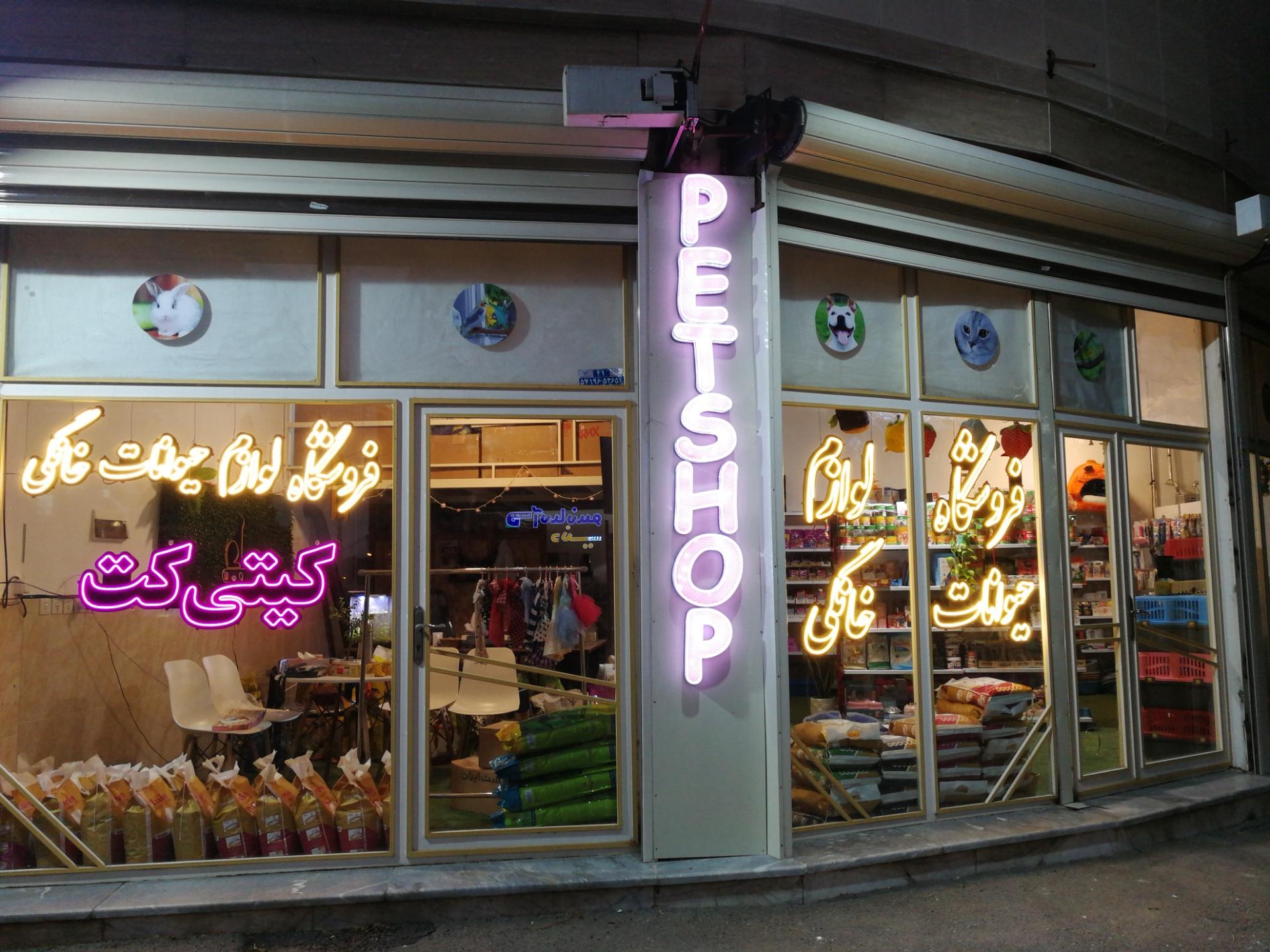 عکس پت شاپ کیتی کت 