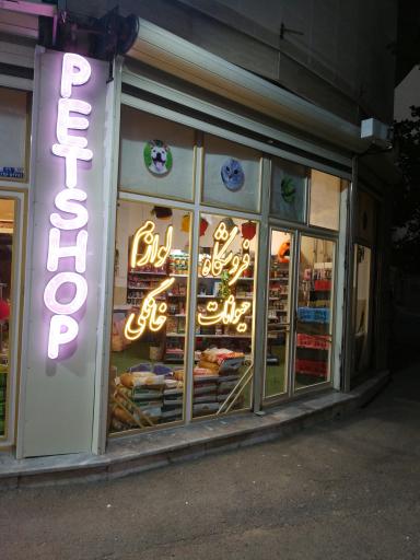 عکس پت شاپ کیتی کت 