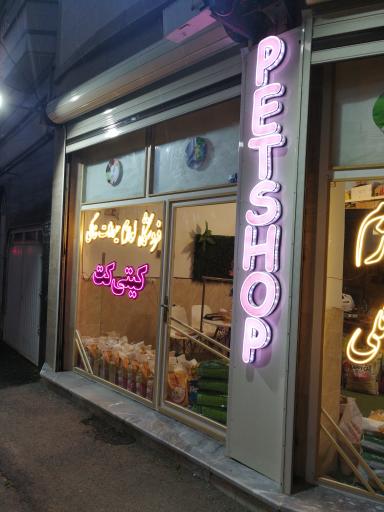 عکس پت شاپ کیتی کت 