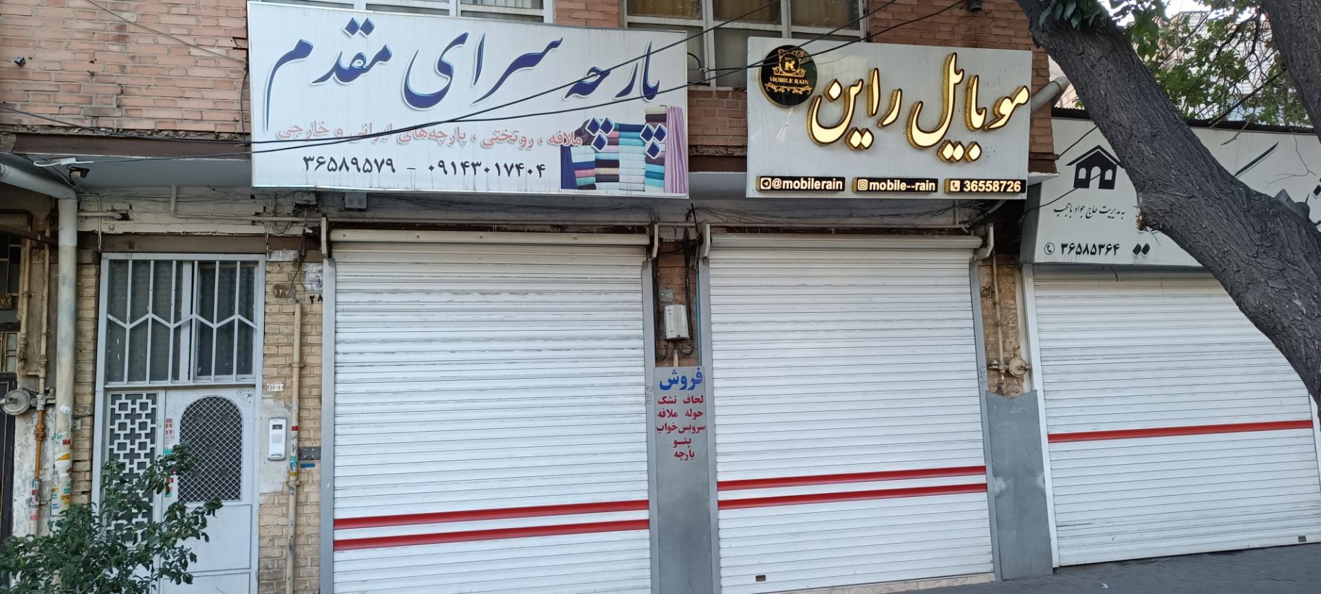 عکس موبایل راین