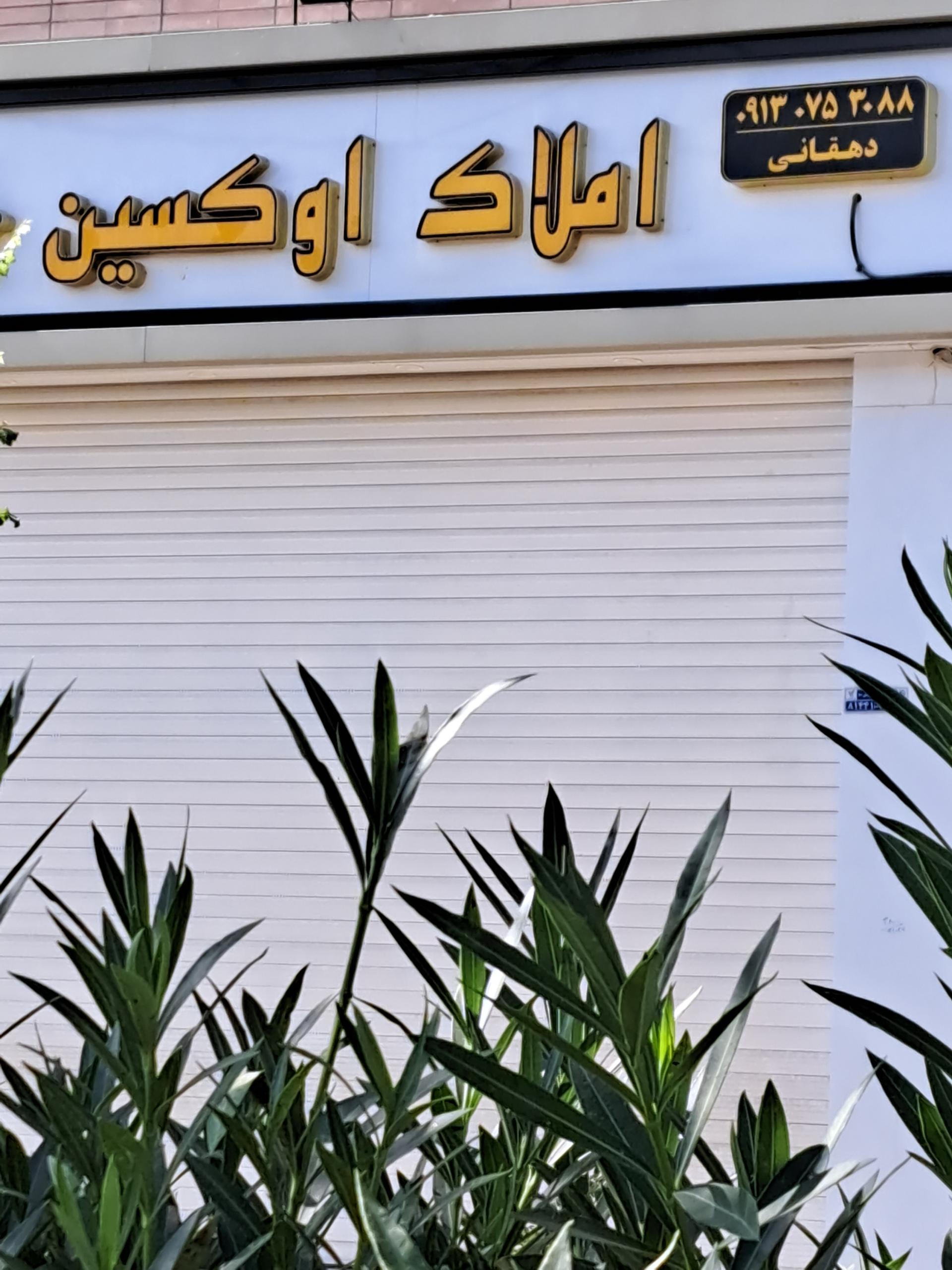 عکس املاک اوکسین