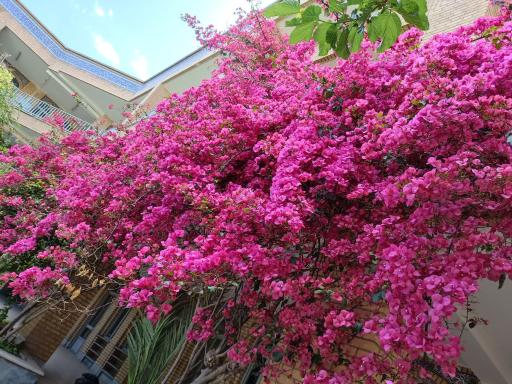 عکس مدرسه علمیه شهیدین بهشتی و قدوسی