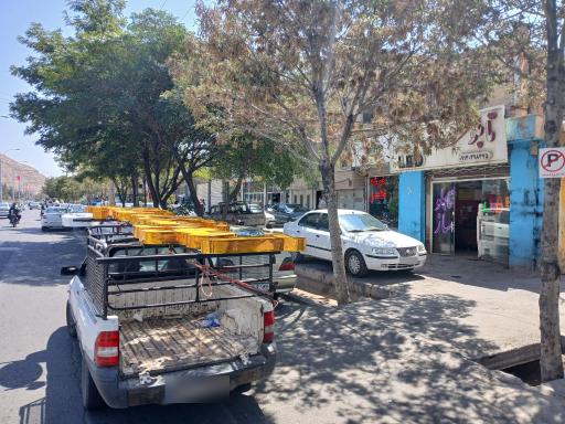 تابلوساژی مانی