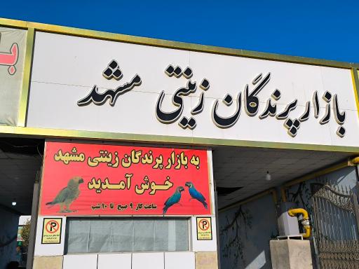 عکس بازار پرندگان زینتی مشهد 
