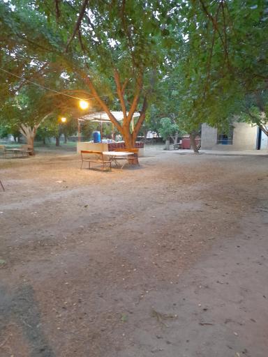 عکس باغ توت عمو نوروز