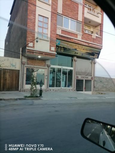 عکس مبلمان کاکتوس برادران پاسدار