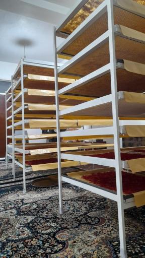 عکس زعفران بانوشید مستقیم از مزرعه