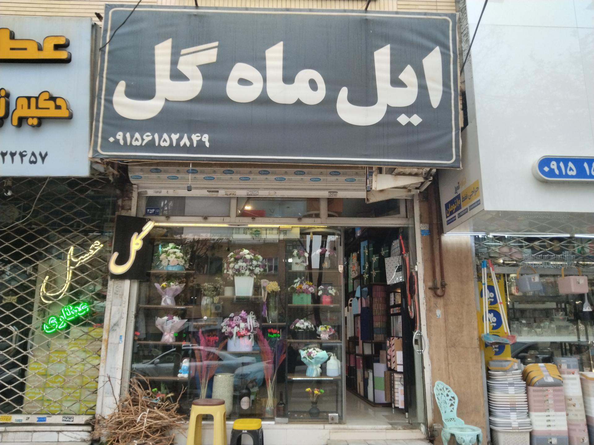 عکس گل فروشی ایلماه