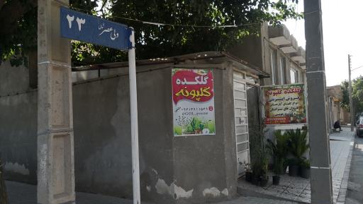 عکس گلکده گل پونه