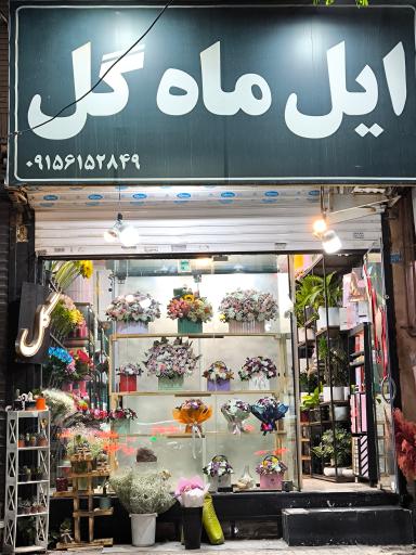 عکس گل فروشی ایلماه