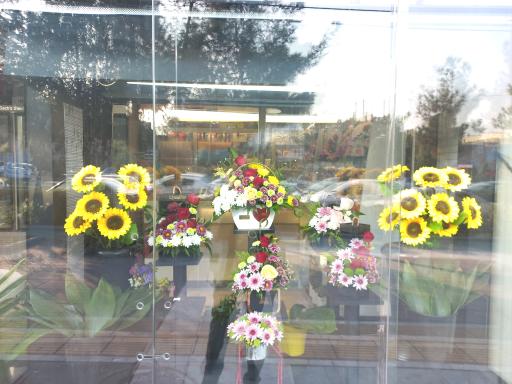 عکس گل آگین