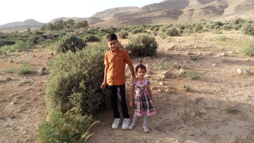 عکس نوبندگان