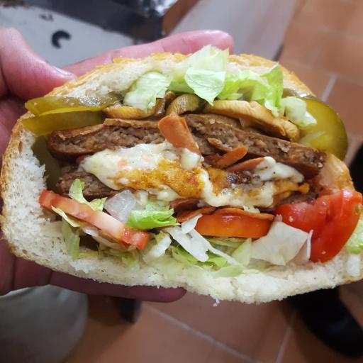 عکس ساندویچی سید