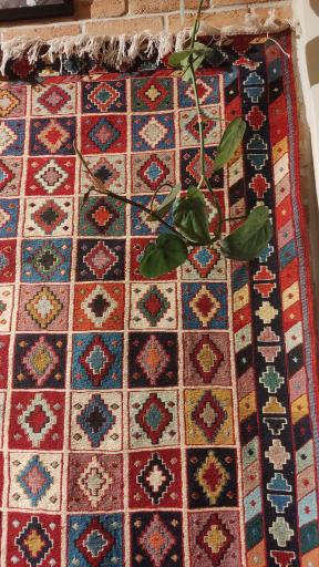 عکس کافه کلیم