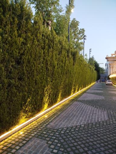 عکس باغ تالار عمارت دانیال