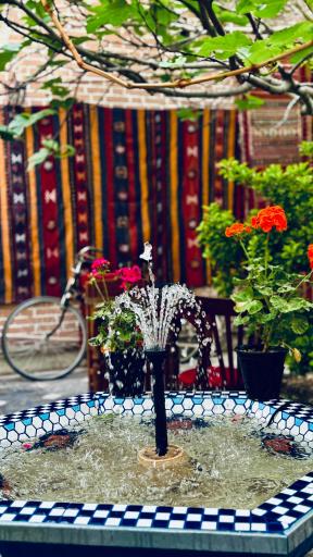 عکس کافه کلیم