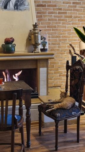 عکس کافه کلیم