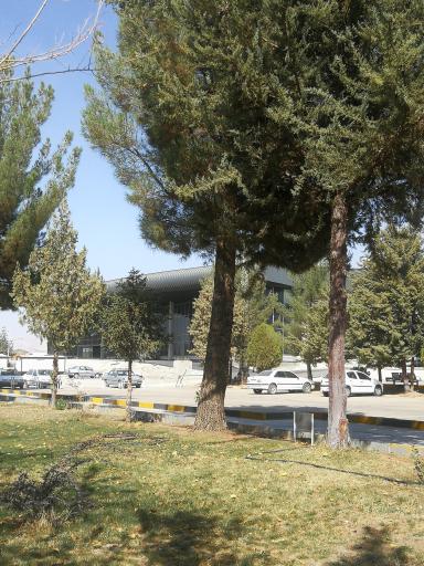 عکس فرودگاه ایلام