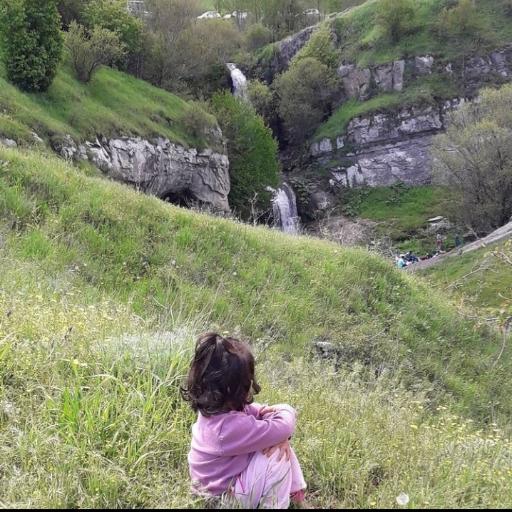 عکس گوار