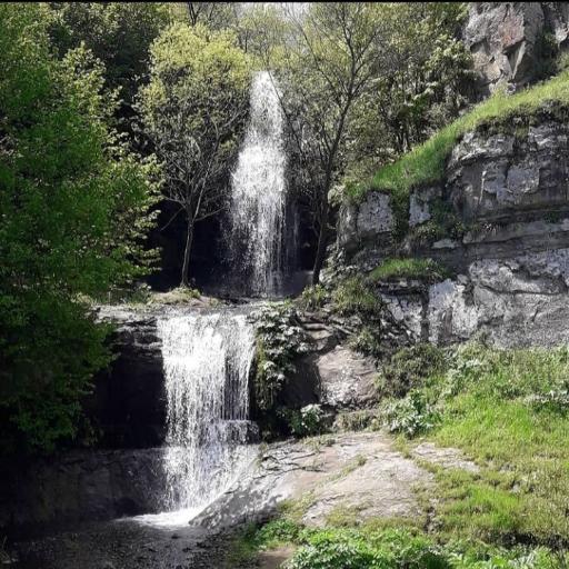 عکس گوار