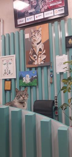 عکس کلینیک دامپزشکی دکتر کهنمویی 