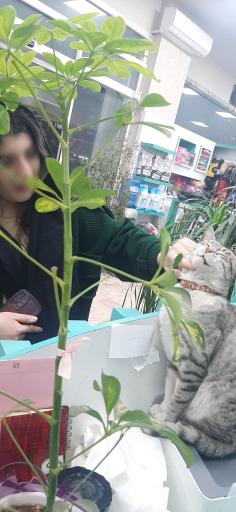 عکس کلینیک دامپزشکی دکتر کهنمویی 