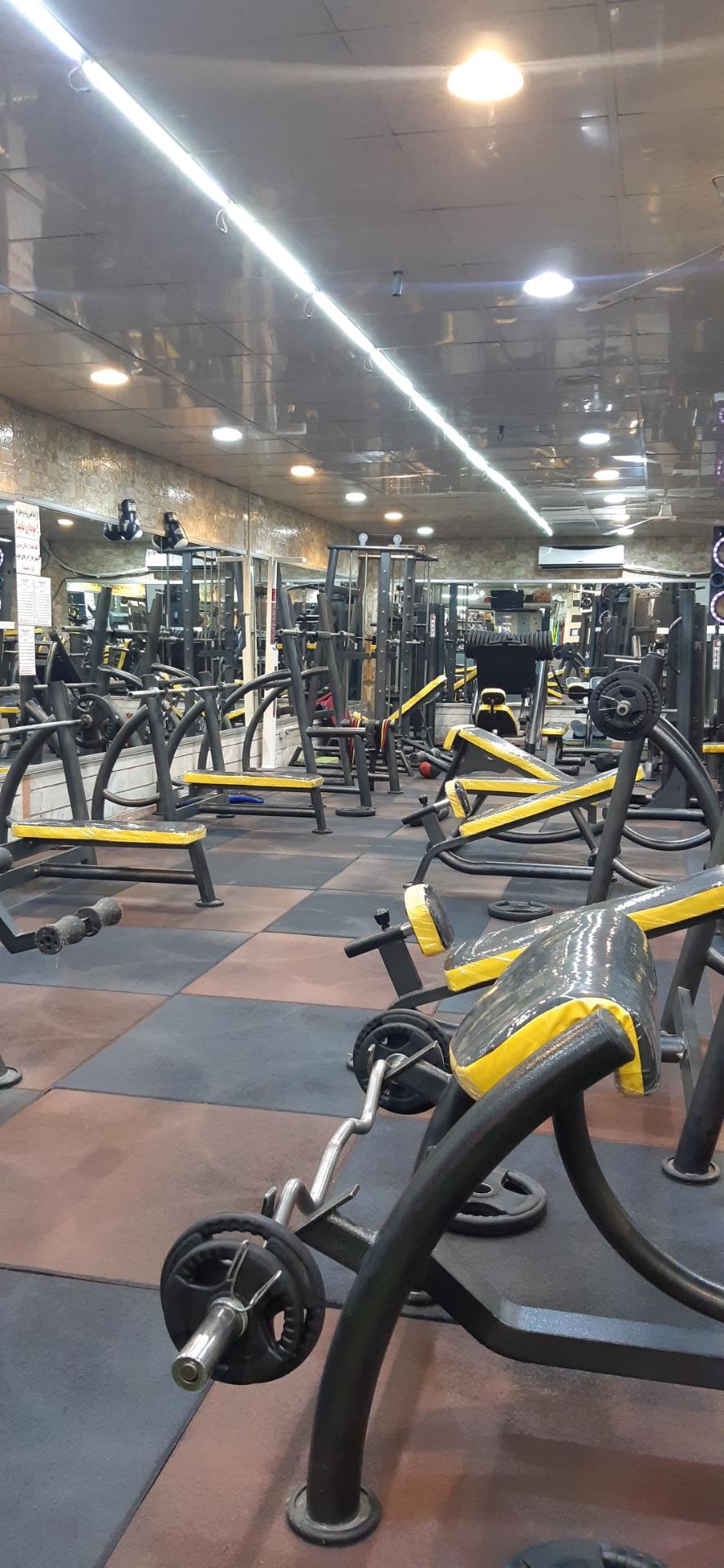 عکس باشگاه کینگ کلاب