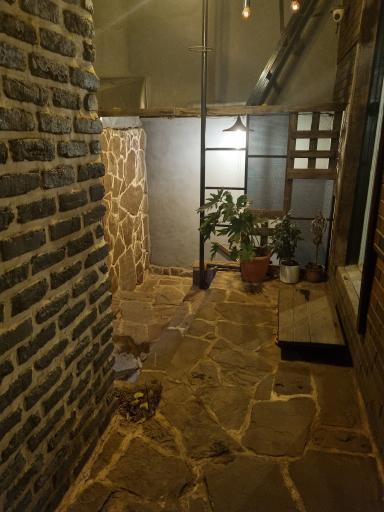 عکس کافه نایس