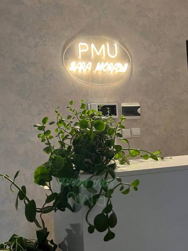 عکس اکادمی ارایش دائم سارا مرادی