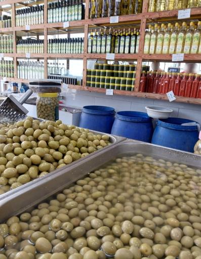 عکس حاج صفری و پسران اصل شعبه ۷