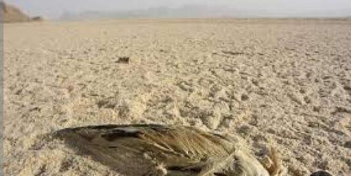 عکس دریاچه بختگان