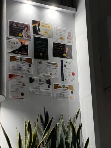 عکس سالن زیبایی فائزه ناصری 